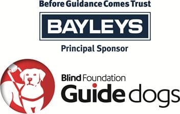 Bayleys Great Guide Dog Online Auction