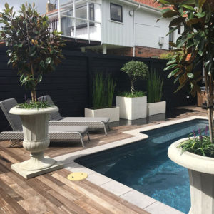 Mobile Gardens plants by the pool 300x300 - Mobile Gardens features in Bayley’s agent, Lorraine Young’s housing update